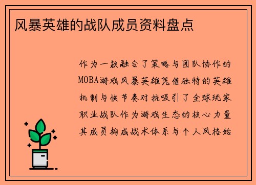 风暴英雄的战队成员资料盘点