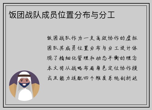 饭团战队成员位置分布与分工