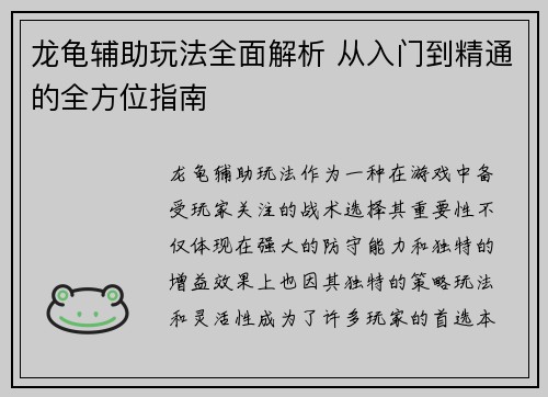 龙龟辅助玩法全面解析 从入门到精通的全方位指南